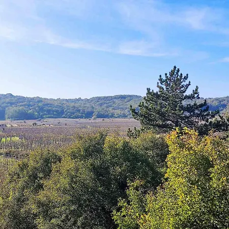Vineyard Vrbnik (Primorje-Gorski Kotar)