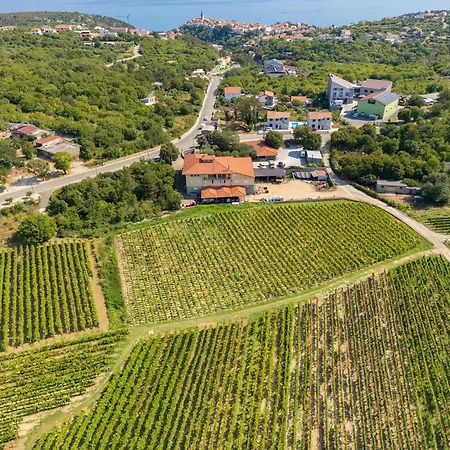 Vineyard Vrbnik (Primorje-Gorski Kotar)