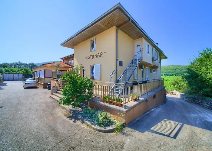 Vineyard *