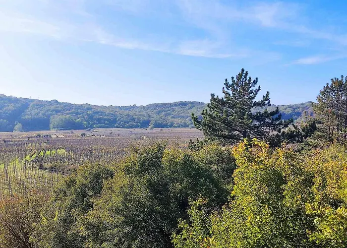 Vineyard Vrbnik (Primorje-Gorski Kotar)