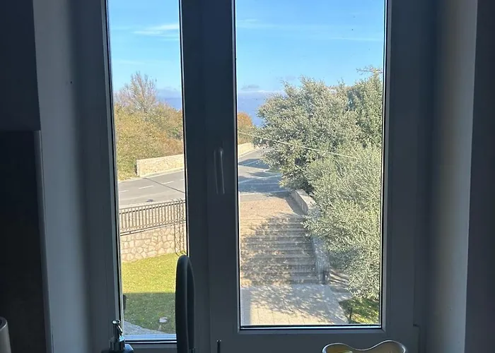 Vineyard * Врбник