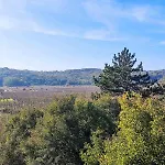 Vineyard 瓦比尼科