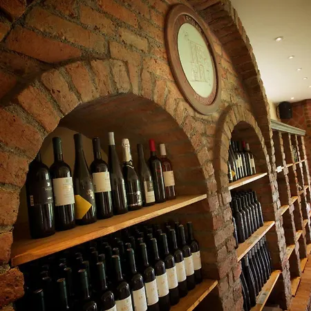 Vineyard