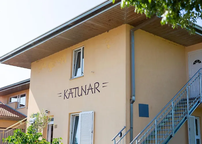 Vineyard * Vrbnik (Primorje-Gorski Kotar)